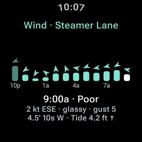 Full-screen wind chart with the scrubbed hour highlighted and its wind, gust and quality
