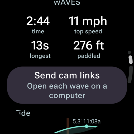 Session summary on the watch with a Send cam links button under the totals